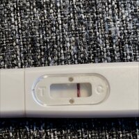 DCE6254C-5CAF-49C8-B1C6-49399FBD38A2.jpeg DCE6254C-5CAF-49C8-B1C6-49399FBD38A2.jpeg