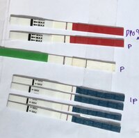 7430E928-FDA1-484F-8B71-B253E40A7A83.jpeg