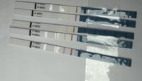 27EF2C2B-84DD-467A-9AA6-4D071C153B72.jpeg