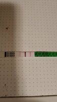 IMG-20210916-WA0003.jpeg