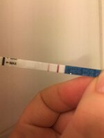 207FEFA2-5A38-4687-BEE2-E67AA6B4E4BA.jpeg 207FEFA2-5A38-4687-BEE2-E67AA6B4E4BA.jpeg