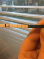 4B13AE79-C820-4646-98C8-335D8633E782.jpeg 4B13AE79-C820-4646-98C8-335D8633E782.jpeg