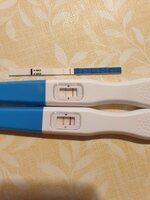 20211025_092636.jpg 20211025_092636.jpg