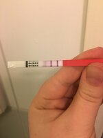 DABCF893-E7C9-43E2-BB72-DD75335C254A.jpeg DABCF893-E7C9-43E2-BB72-DD75335C254A.jpeg