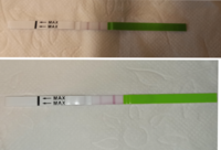 IMG_20211214_080829.png IMG_20211214_080829.png