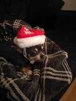 IMG-20211204-WA0000.jpg IMG-20211204-WA0000.jpg