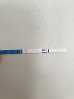 16487253938156789269015810694617.jpg 16487253938156789269015810694617.jpg