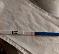 Screenshot_20220407-224040_Photo Editor.jpg