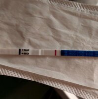 Screenshot_20220407-223938_Photo Editor.jpg