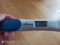 IMG_20220408_131340.jpg IMG_20220408_131340.jpg