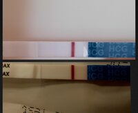 Screenshot_20220410-194543_Photo Collage.jpg