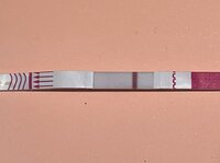 CA687B1E-C931-4A85-BE46-EDCC3AED7801.jpeg CA687B1E-C931-4A85-BE46-EDCC3AED7801.jpeg