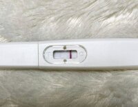 D45D8A91-0139-448A-8C7F-E4475FCBE323.jpeg D45D8A91-0139-448A-8C7F-E4475FCBE323.jpeg