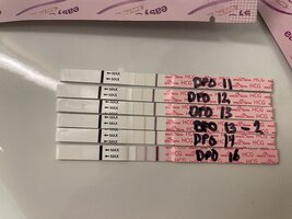 449F9745-14EB-4B0F-A324-D7CD168898AC.jpeg 449F9745-14EB-4B0F-A324-D7CD168898AC.jpeg