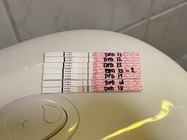 642B8DC5-F435-4EB3-A7D7-F28436286ED3.jpeg 642B8DC5-F435-4EB3-A7D7-F28436286ED3.jpeg