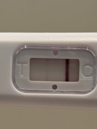 PXL_20220712_163647931.jpg PXL_20220712_163647931.jpg