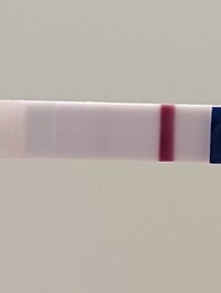 PXL_20220712_163726548.jpg PXL_20220712_163726548.jpg