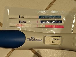 PXL_20220713_061929937.jpg PXL_20220713_061929937.jpg