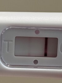 PXL_20220713_170341894.jpg PXL_20220713_170341894.jpg