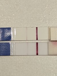 PXL_20220713_171803838.jpg PXL_20220713_171803838.jpg