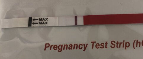 3B234129-0F62-4040-BA77-26B67CFAE116.jpeg 3B234129-0F62-4040-BA77-26B67CFAE116.jpeg