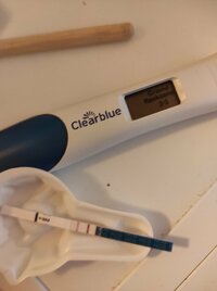 IMG_20220821_145652.jpg IMG_20220821_145652.jpg