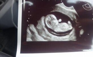 IMG_20221008_161602.jpg IMG_20221008_161602.jpg