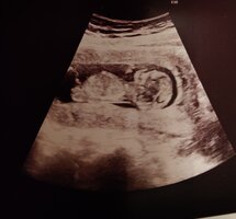 IMG_20221025_164303.jpg IMG_20221025_164303.jpg