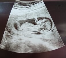 IMG_20221025_130324.jpg IMG_20221025_130324.jpg