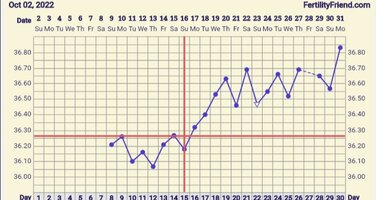 Screenshot_20221031_050625.jpg Screenshot_20221031_050625.jpg