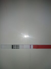 IMG_20221031_072349.jpg IMG_20221031_072349.jpg