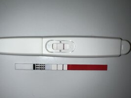 D3708237-896B-43C5-AEAE-24FC3A68000F.jpeg D3708237-896B-43C5-AEAE-24FC3A68000F.jpeg