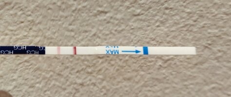 IMG_20221219_090005.jpg IMG_20221219_090005.jpg