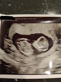 IMG_20221219_162709.jpg IMG_20221219_162709.jpg