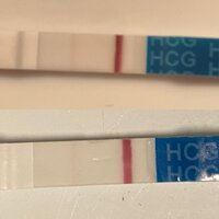 49D712E1-3A0B-4D55-A3E8-A9A7B86FEF71.jpeg 49D712E1-3A0B-4D55-A3E8-A9A7B86FEF71.jpeg