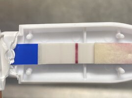 068E9983-9443-4448-97D9-AE4A83518974.jpeg 068E9983-9443-4448-97D9-AE4A83518974.jpeg