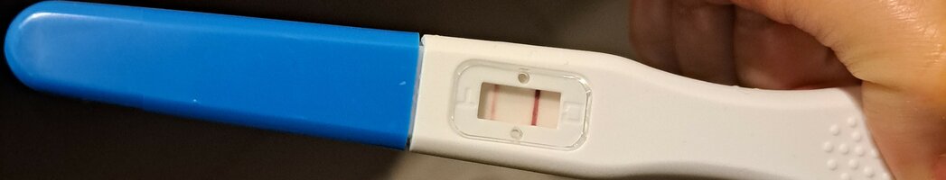 20230203_043224~2.jpg 20230203_043224~2.jpg