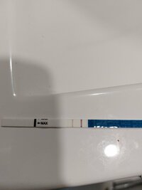 inbound7252052901253984760.jpg inbound7252052901253984760.jpg