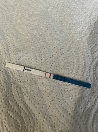 47E37248-C9EC-4A27-89B3-4A0FD4773195.jpeg 47E37248-C9EC-4A27-89B3-4A0FD4773195.jpeg