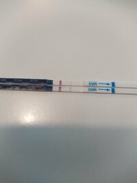 IMG_20230216_094006_1.jpg IMG_20230216_094006_1.jpg