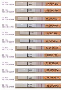 premom-10-15-dpo-wet-test-progression-my-dry-test-line-v0-cjvs645xhuw91.jpg