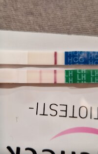 Screenshot_20231006_142504_Samsung Internet.jpg