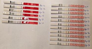 20231203_063026.jpg 20231203_063026.jpg