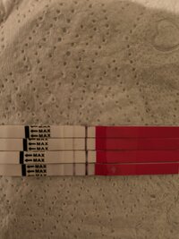 IMG20231204080532.jpg IMG20231204080532.jpg