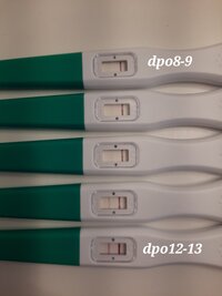 20231204_094518.jpg 20231204_094518.jpg