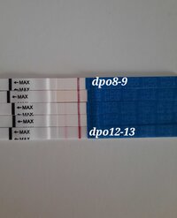 20231204_094401.jpg 20231204_094401.jpg