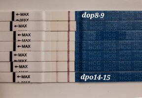 20231206_102042.jpg 20231206_102042.jpg