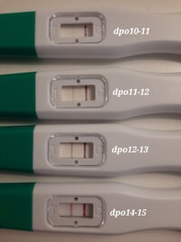 20231206_102930.jpg 20231206_102930.jpg