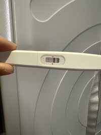 IMG_8923.jpeg IMG_8923.jpeg