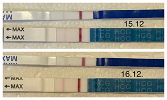 IMG_8431.jpeg IMG_8431.jpeg